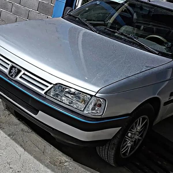 راهنما پارک 405 شفاف — تصویر ۲