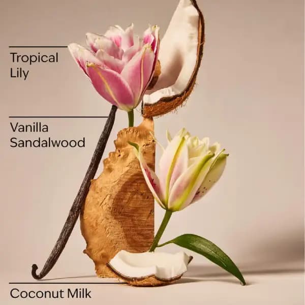 بادی اسپلش زنانه بث اند بادی ورکز او دو کوکونات Bath & Body Works Eau De Coconut Fine Fragrance Mist — تصویر ۳