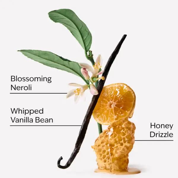 بادی اسپلش زنانه بث اند بادی ورکز ویپت هانی اند وانیلا Bath & Body Works Whipped Honey & Vanilla Fine Fragrance Mist — تصویر ۳