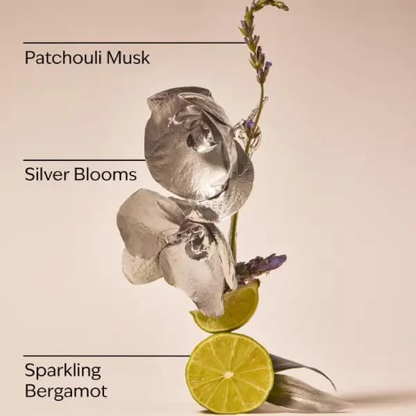 بادی اسپلش زنانه بث اند بادی ورکز پلاتینیوم Bath & Body Works Platinum Fine Fragrance Mist — تصویر ۲