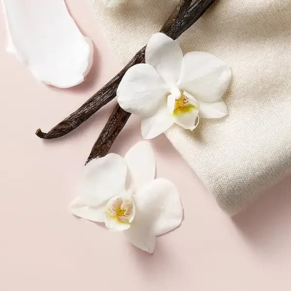 بادی اسپلش زنانه ویکتوریا سکرت بر وانیلا Victoria’s Secret Bare Vanilla Fragrance Mist — تصویر ۲