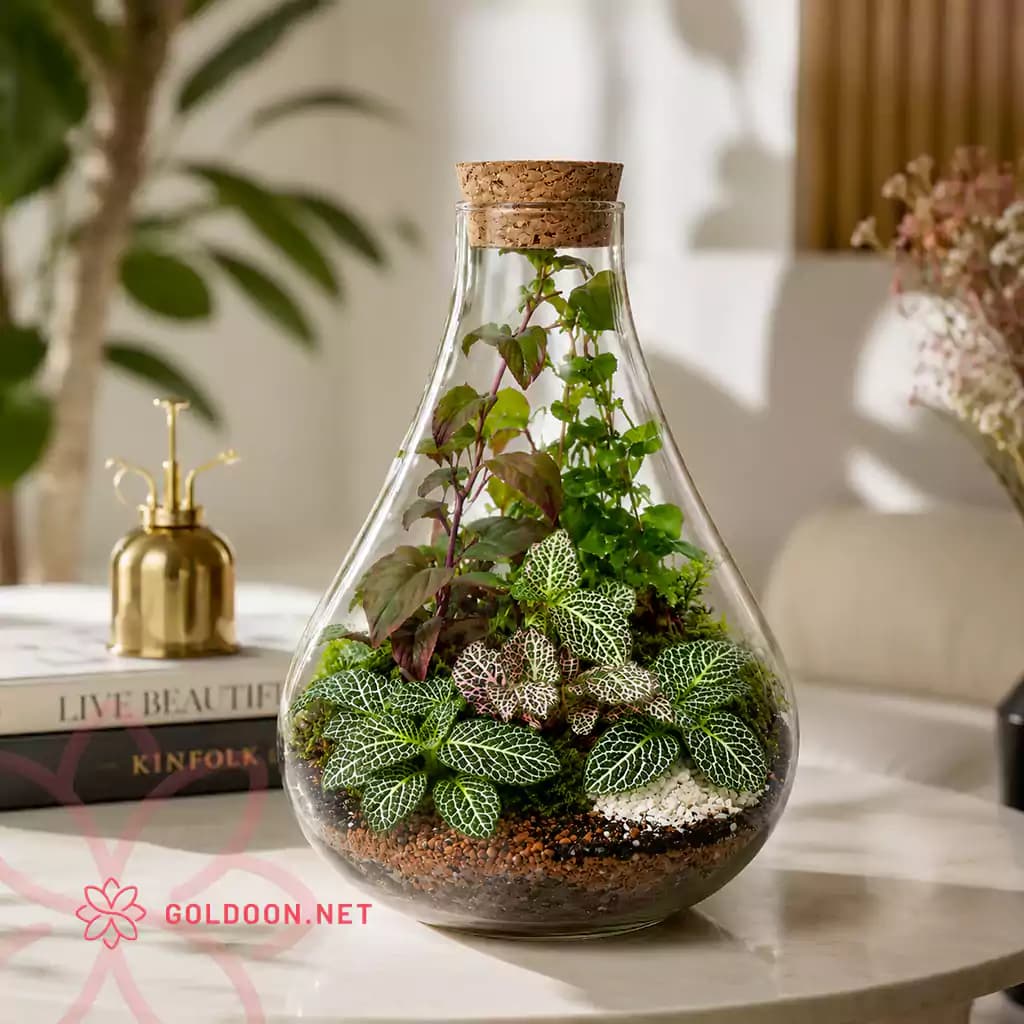 تراریوم شیشه ای کد 001 — تصویر ۶