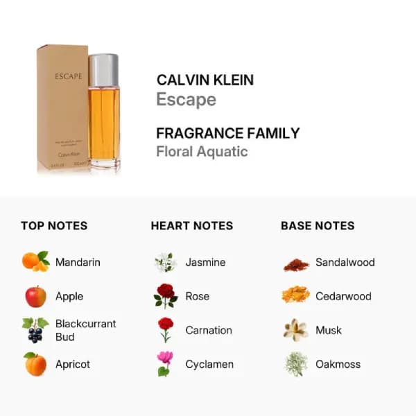 عطر زنانه کالوین کلاین اسکیپ ادو پرفیوم Calvin Klein Escape Eau de Parfum — تصویر ۳