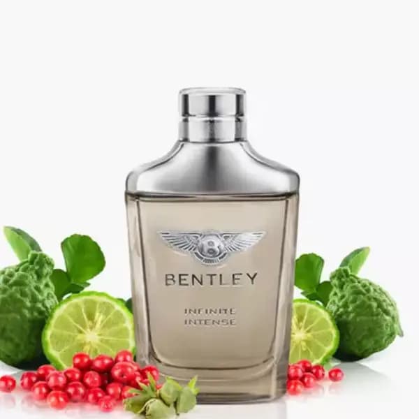 عطر مردانه بنتلی اینفینیتی ادو پرفیوم Bentley Infinity Eau de Parfum — تصویر ۳