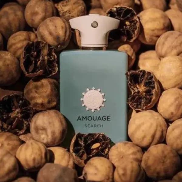 عطر مردانه آمواج سرچ ادو پرفیوم Amouage Search Eau de Parfum — تصویر ۴