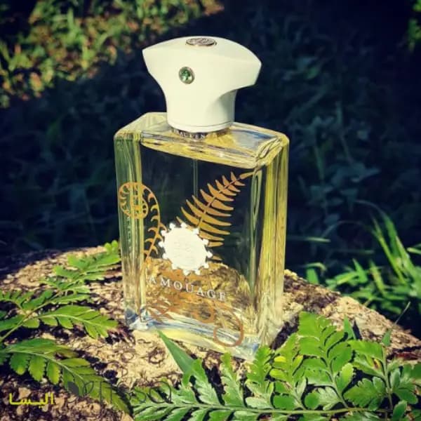 عطر مردانه آمواج براکن ادو پرفیوم Amouage Bracken Man Eau de Parfum — تصویر ۵