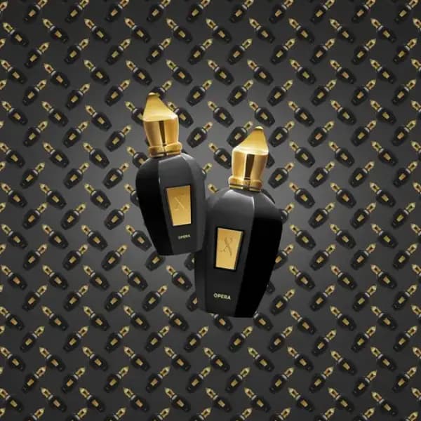 عطر یونیسکس زرجوف اپرا ادو پرفیوم Xerjoff Opera Eau de Parfum — تصویر ۱۰