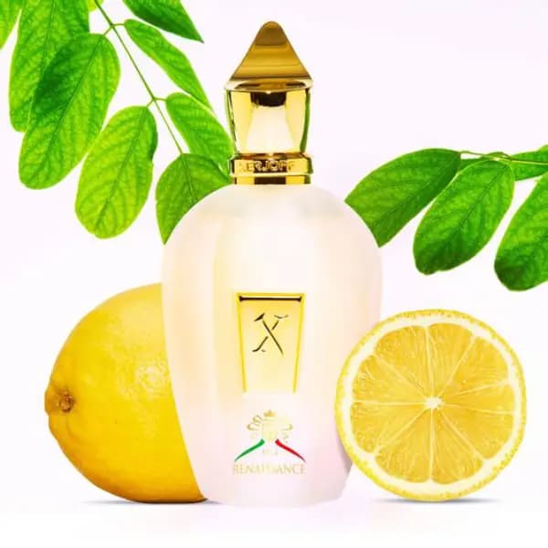 عطر یونیسکس زرجوف رنسانس ادو پرفیوم Xerjoff Renaissance Eau de Parfum — تصویر ۳