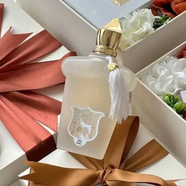 عطر زنانه زرجوف کازاموراتی داما بیانکا ادو پرفیوم Xerjoff Casamorati Dama Bianca Eau de Parfum — تصویر ۶