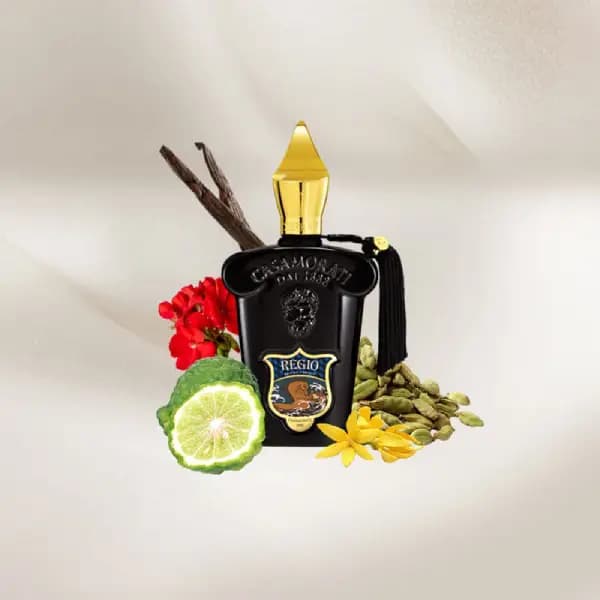 عطر یونیسکس کازاموراتی رجیو زرجوف ادو پرفیوم Xerjoff Casamorati Regio Eau de Parfum — تصویر ۷