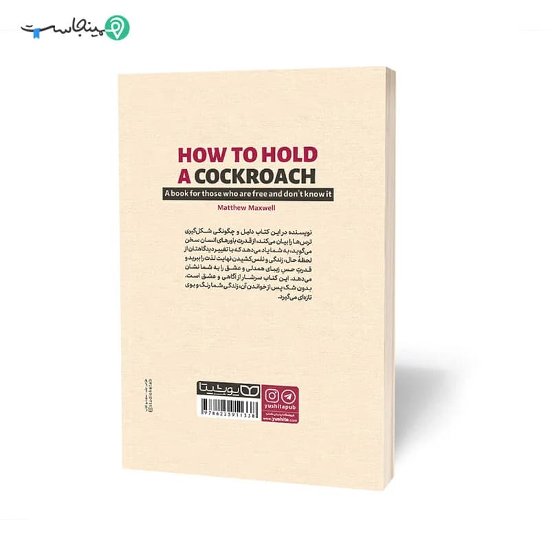 کتاب چطور یک سوسک را در دست بگیریم؟ — تصویر ۴