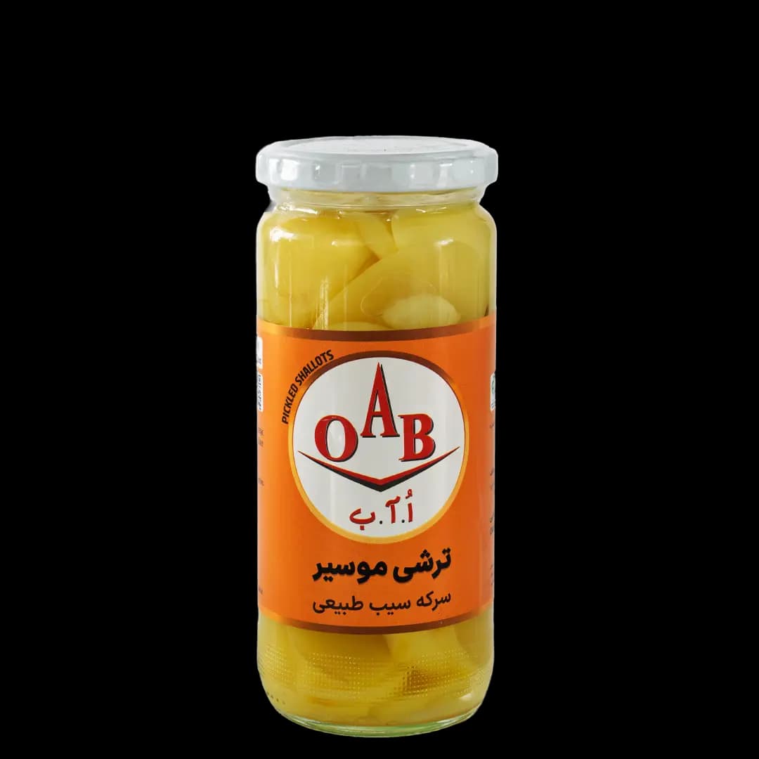 ترشی موسیر ۵۰۰ گرمی — تصویر ۴
