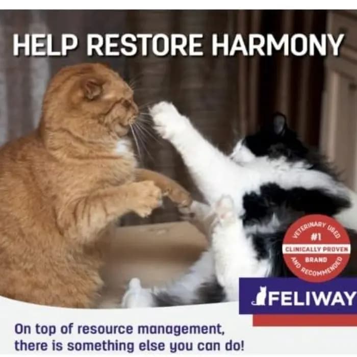 فرومون آرام‌بخش گربه فلیوی FELIWAY Friends — بسته ۳ عددی ۴۸ میلی‌لیتر — تصویر ۸