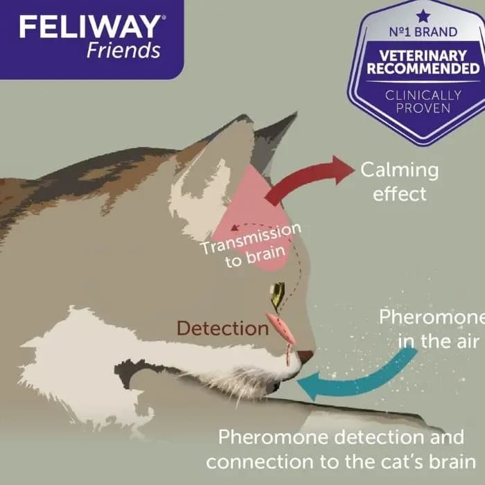 فرومون آرام‌بخش گربه فلیوی FELIWAY Friends — بسته ۳ عددی ۴۸ میلی‌لیتر — تصویر ۱۰