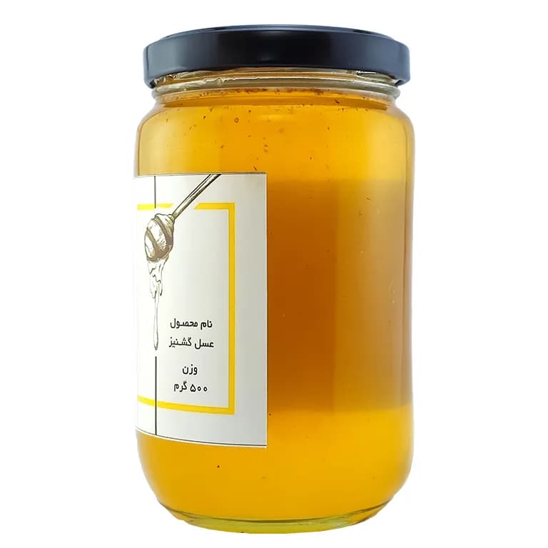 عسل گشنیز 500 گرمی — تصویر ۴