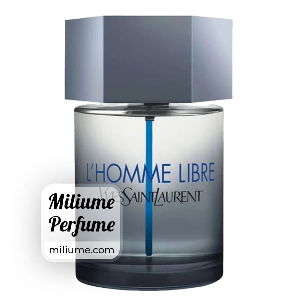 عطر ایفس ان لوران لهوم لیبر مردانه | yves saint laurent L homme libre men | برند RenneTouch — تصویر ۳