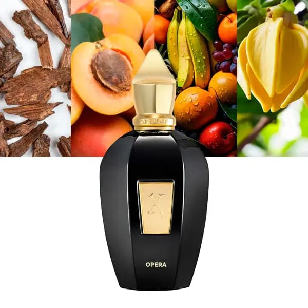 عطر زرجوف اپرا | Xerjoff Opera Eau de Parfum — تصویر ۳