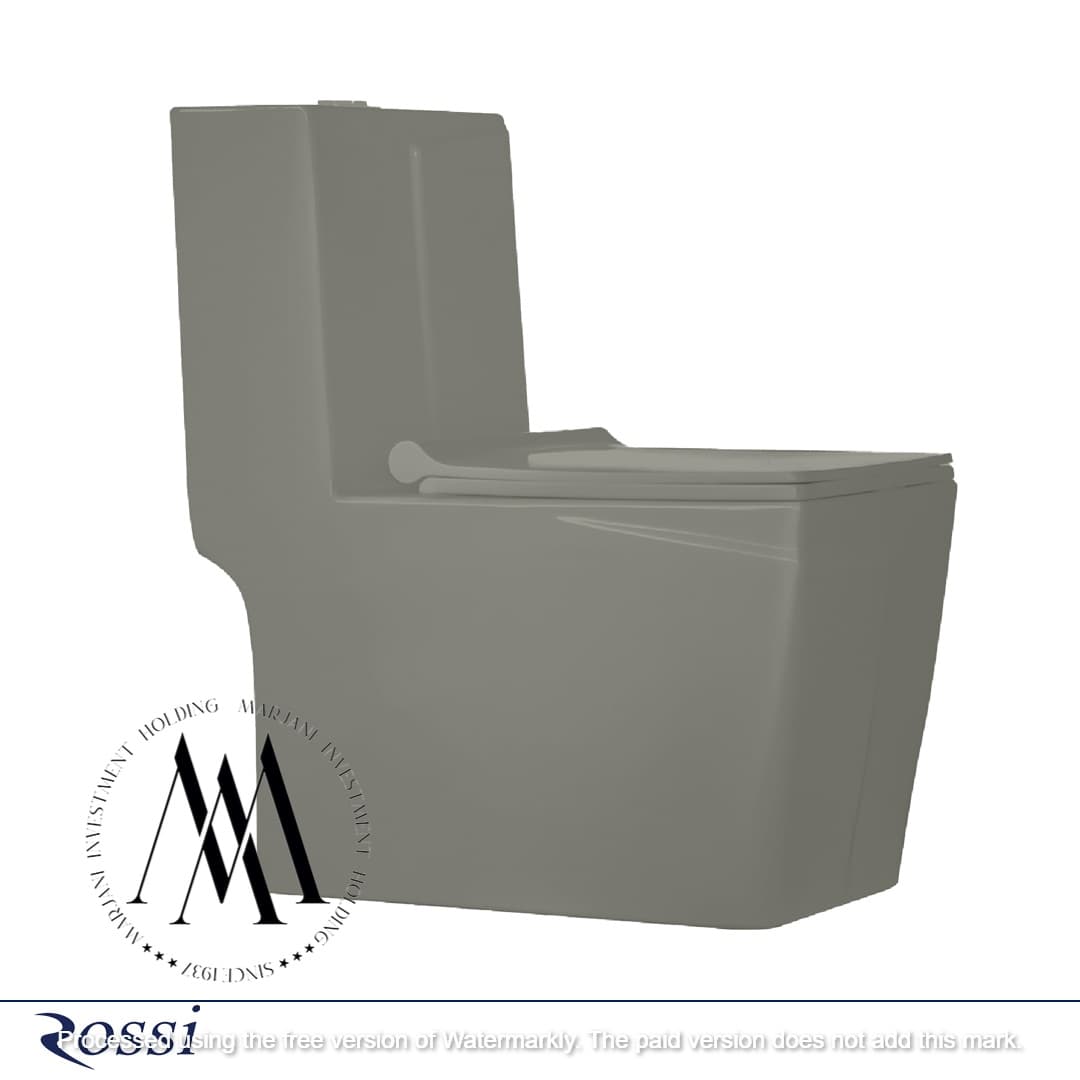 توالت فرنگی رُسی مدل لاین (شنی) بیده دار تیپ a پلاس درجه 2