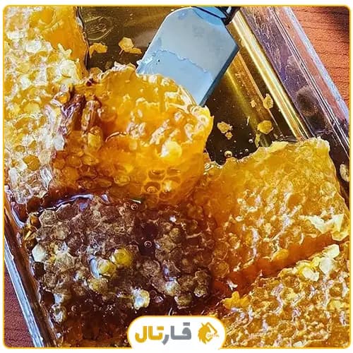 عسل موم قره داغ — تصویر ۷