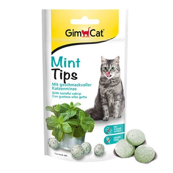 تشویقی توپی گربه جیم کت با طعم نعنا Gimcat mint tips
