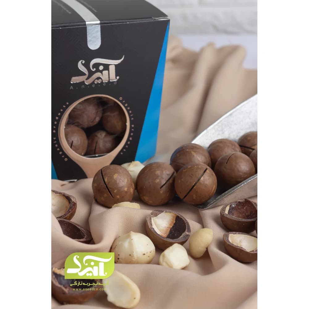 فندق ماکادمیا صادراتی آنید — تصویر ۷