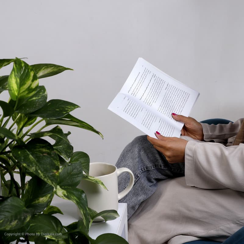 کتاب شنل پاره اثر نینا بربروا نشر ماهی — تصویر ۹
