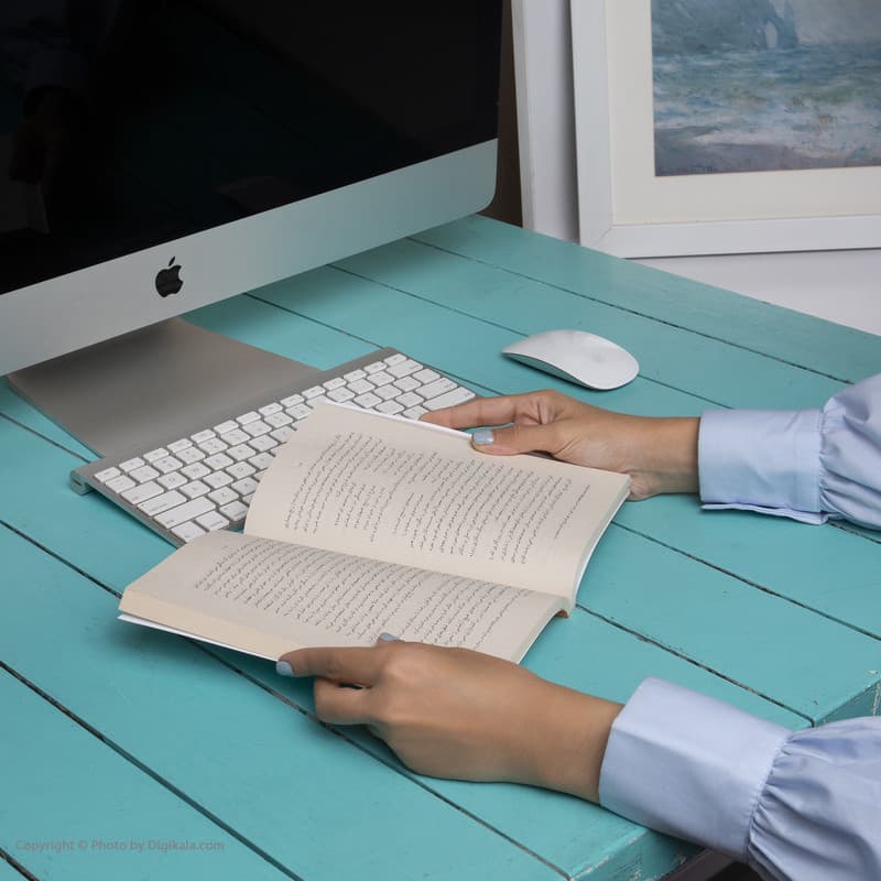 کتاب روز ملخ اثر ناتانیل وست نشر ماهی — تصویر ۱۲
