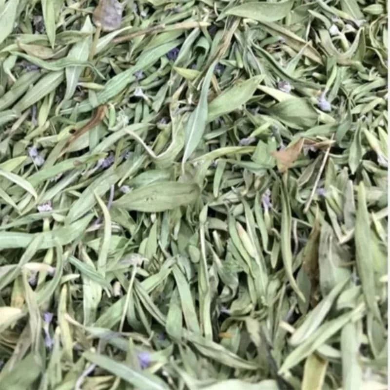 آویشن کوهی اعلا و بسیار معطر (۱۰۰٪ خالص و ارگانیک) — تصویر ۶