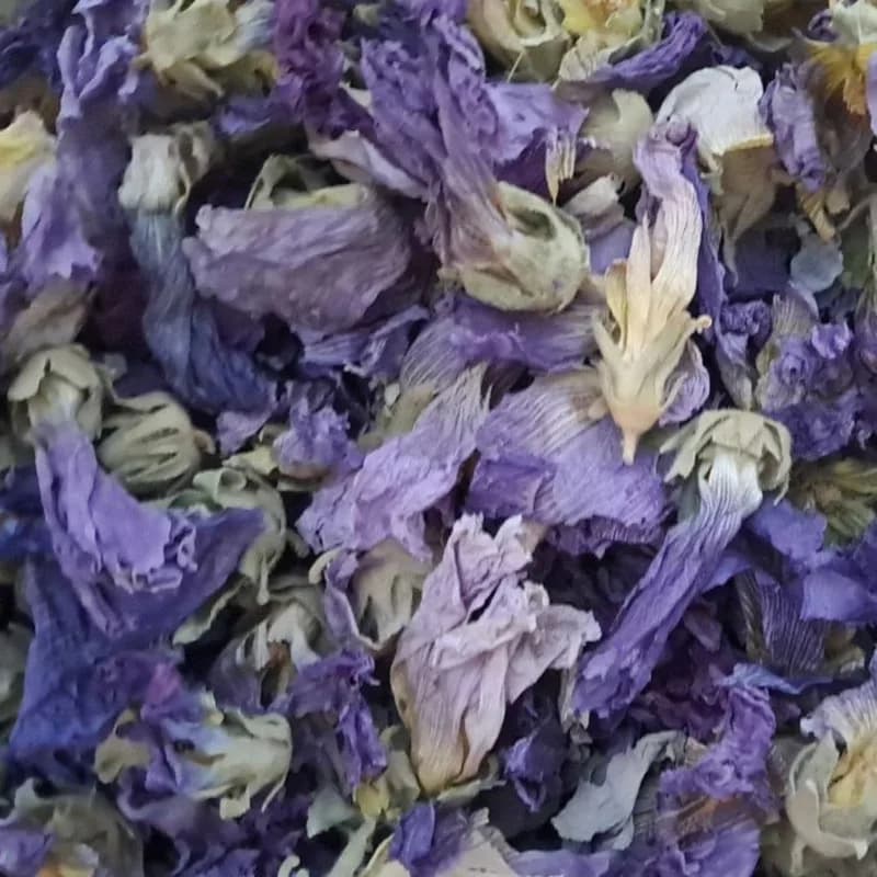 گل ختمی درجه یک (۱۰۰٪ طبیعی) — تصویر ۶
