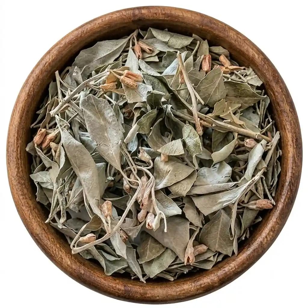 برگ سنجد خشک شده اعلا و سورت شده (۱۰۰٪ طبیعی)