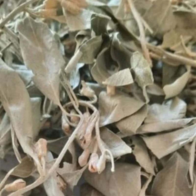 برگ سنجد خشک شده اعلا و سورت شده (۱۰۰٪ طبیعی) — تصویر ۳
