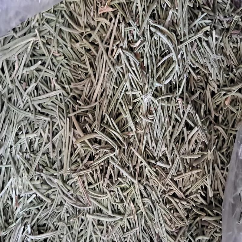 برگ رزماری خشک شده درجه یک (۱۰۰٪ خالص) — تصویر ۶