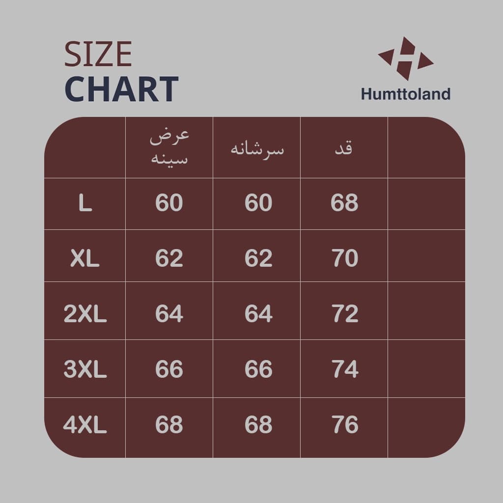 تیشرت مردانه هامتو مدل HUMTTO 29U183A-4 — تصویر ۴