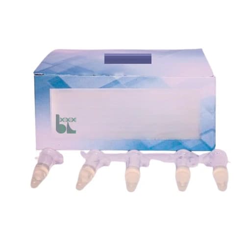 کیت سنجش رادیکال آزاد اکسیژن ROS