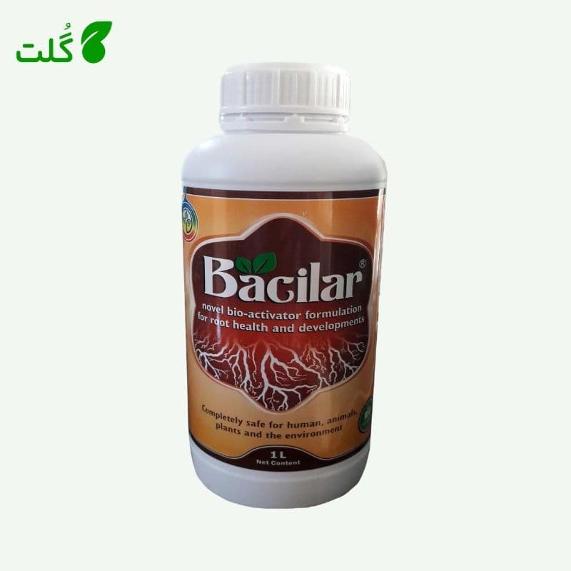 کود ریشه زا اسپانیایی برند باسیلار ۱ لیتری — تصویر ۲