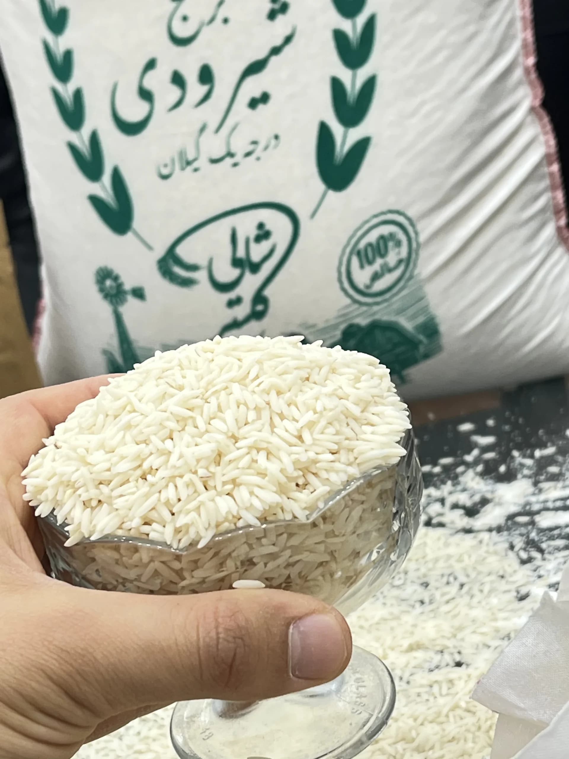 برنج شیرودی درجه یک گیلان | محصول درجه یک گیلان – 10 کیلویی — تصویر ۶