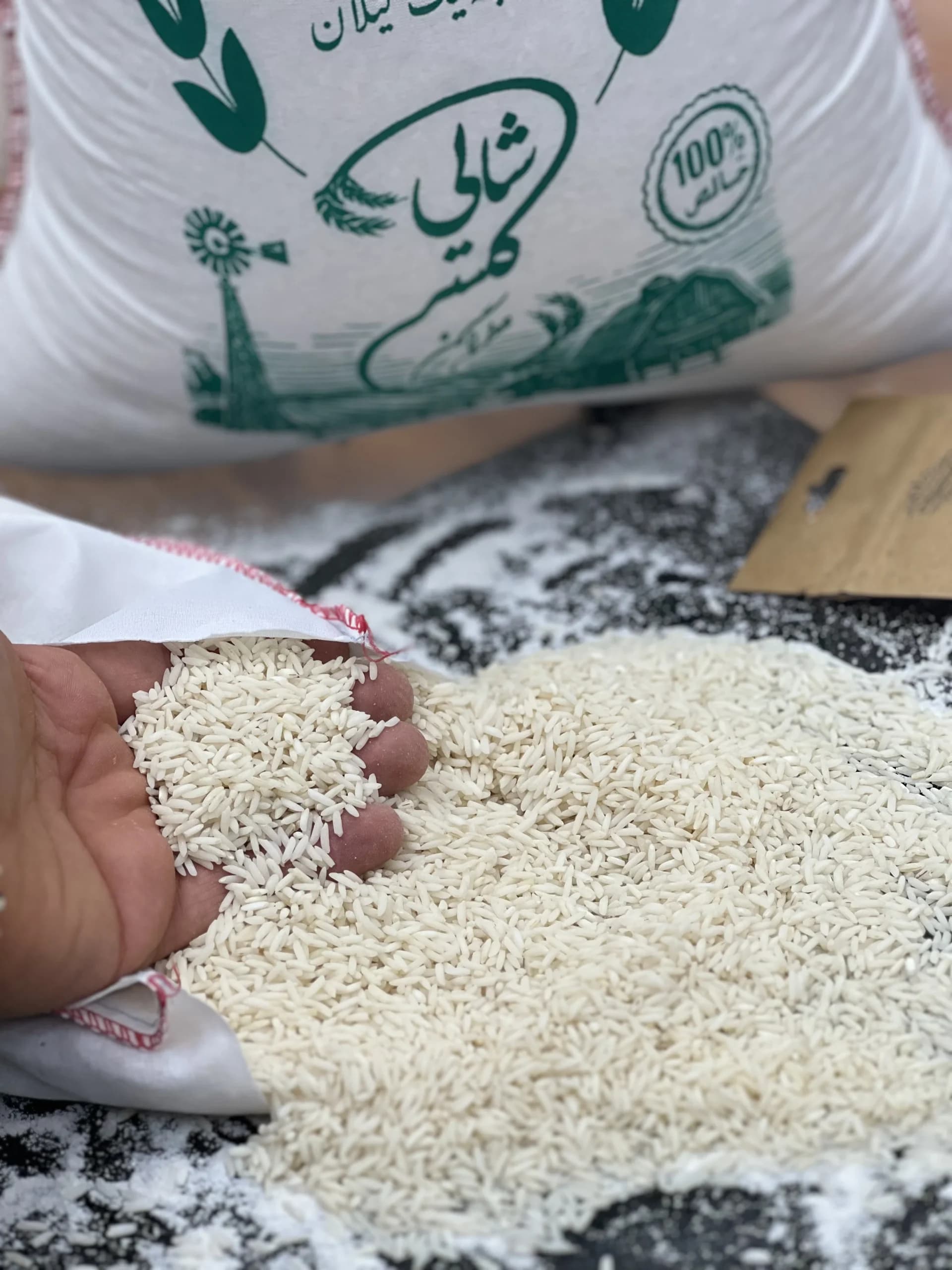 برنج شیرودی درجه یک گیلان | محصول درجه یک گیلان – 10 کیلویی — تصویر ۲