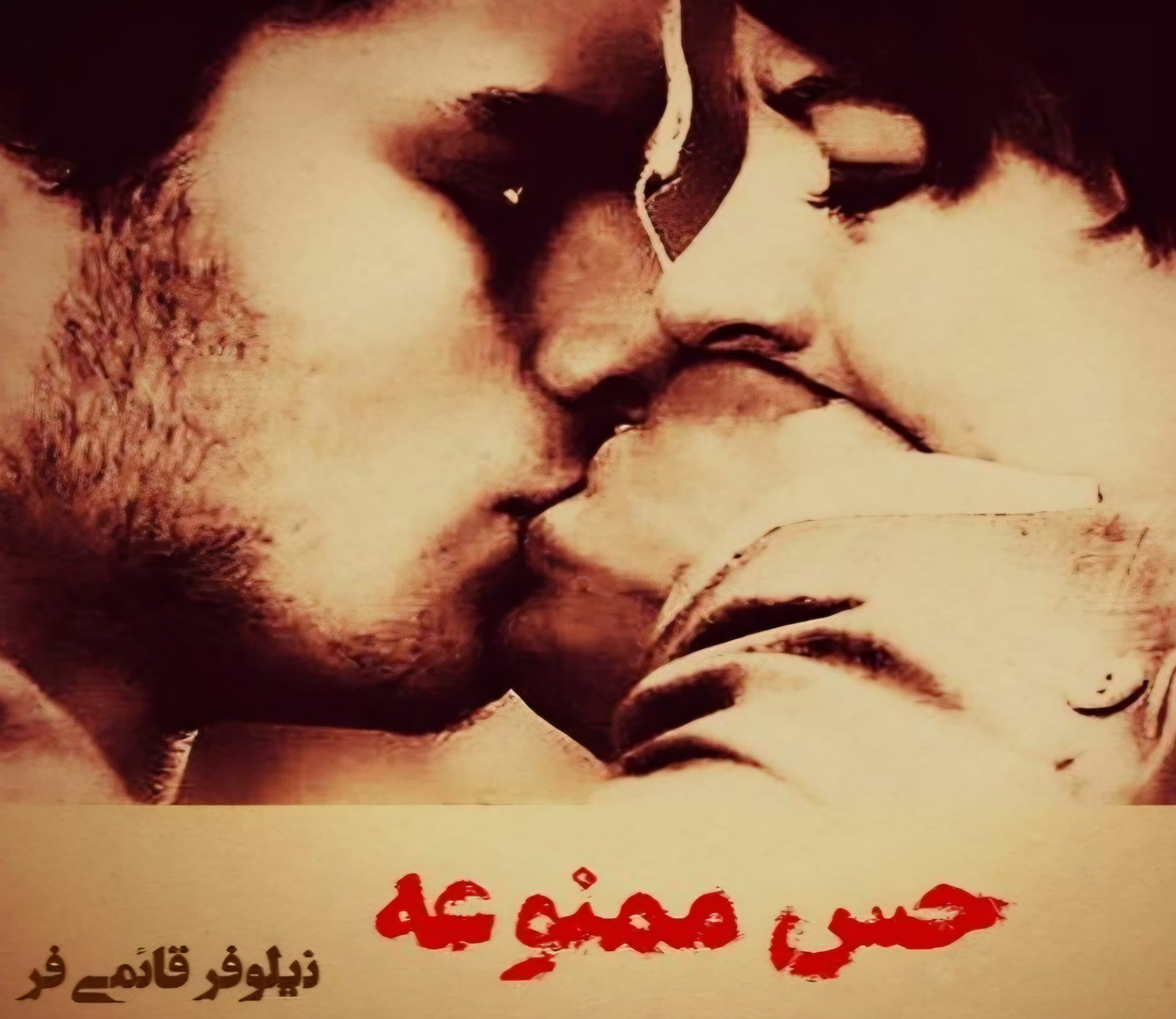دانلود کتاب حس ممنوعه(فایل pdf) — تصویر ۲