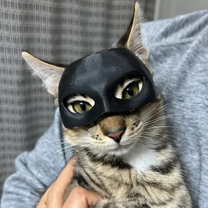 ماسک بتمن برای گربه — تصویر ۵