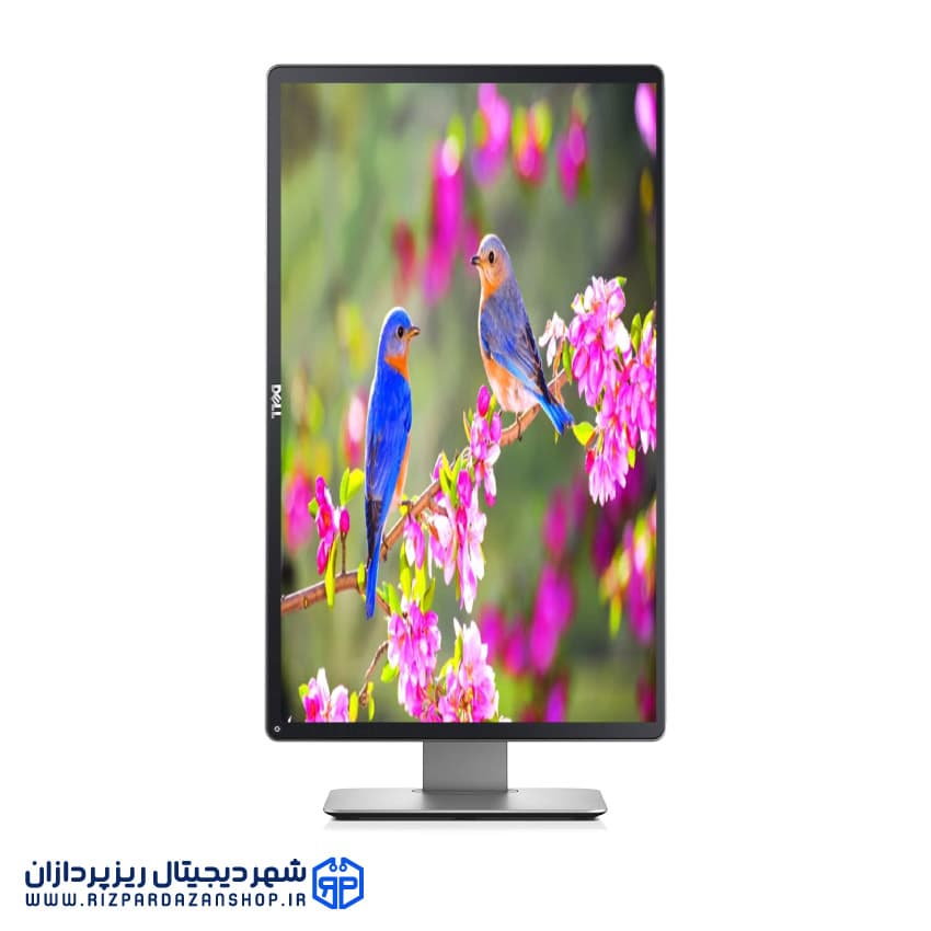 مانیتور استوک دل P2314HT سایز 23 اینچ IPS — تصویر ۴