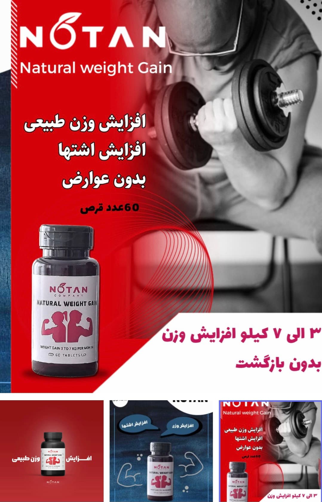 چاقی نوتن ۶۰ عددی کاملا گیاهی و اصلی