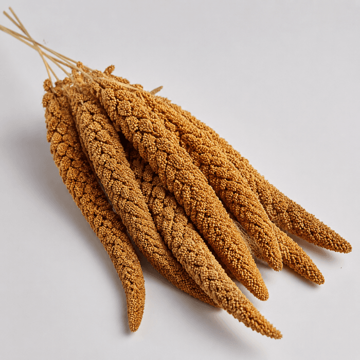 ارزن خوشه ای وارداتی