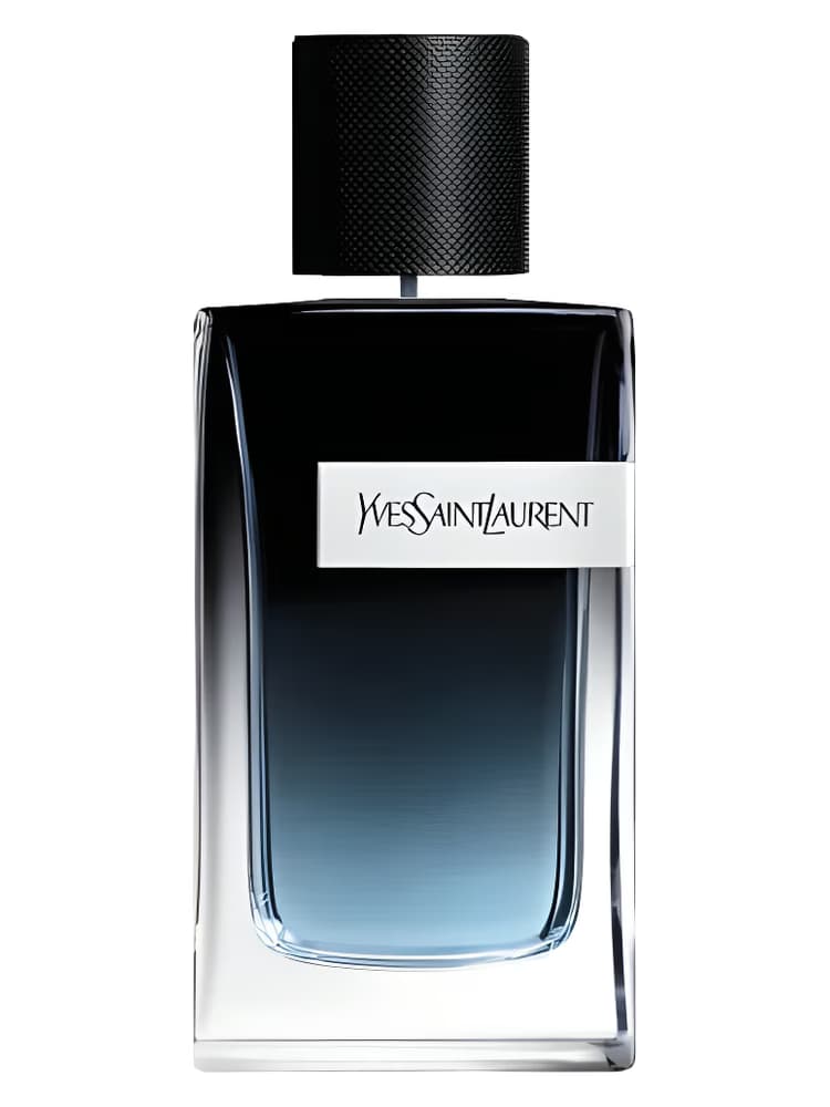 عطر ادکلن ایو سن لورن وای ادو پرفیوم مردانه
