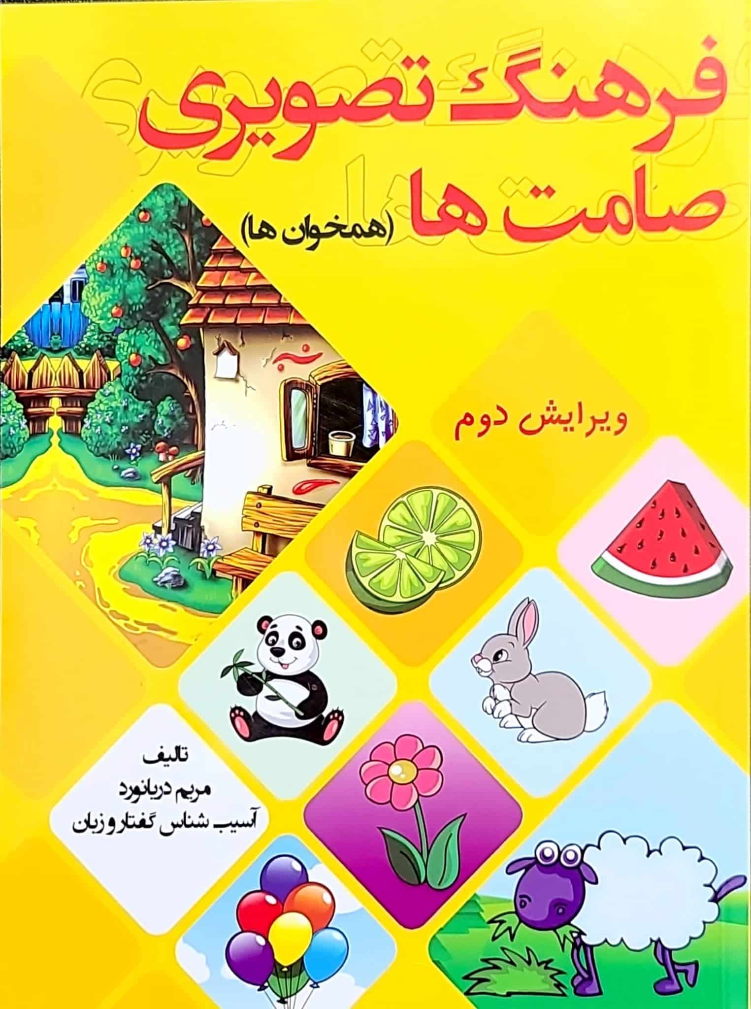 کتاب فرهنگ تصویری صامت ها اثر مریم دریانورد انتشارات مولفان فرهیخته