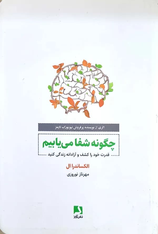 کتاب چگونه شفا می يابيم