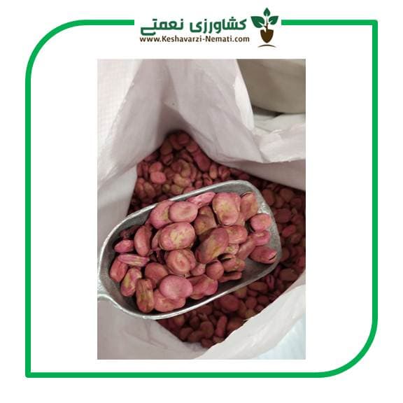 بذر باقلا اعلا اصلاح شده گلچین بذر کیسه 10 کیلویی — تصویر ۳