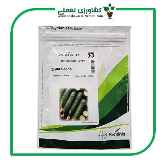 بذر خیار ویکتور 2500 عددی شیلی 2024