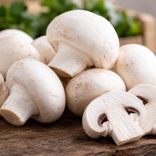 بذر قارچ دکمه ای 1کیلوگرمی