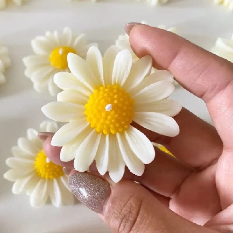 گیفت شمع بابونه — تصویر ۴