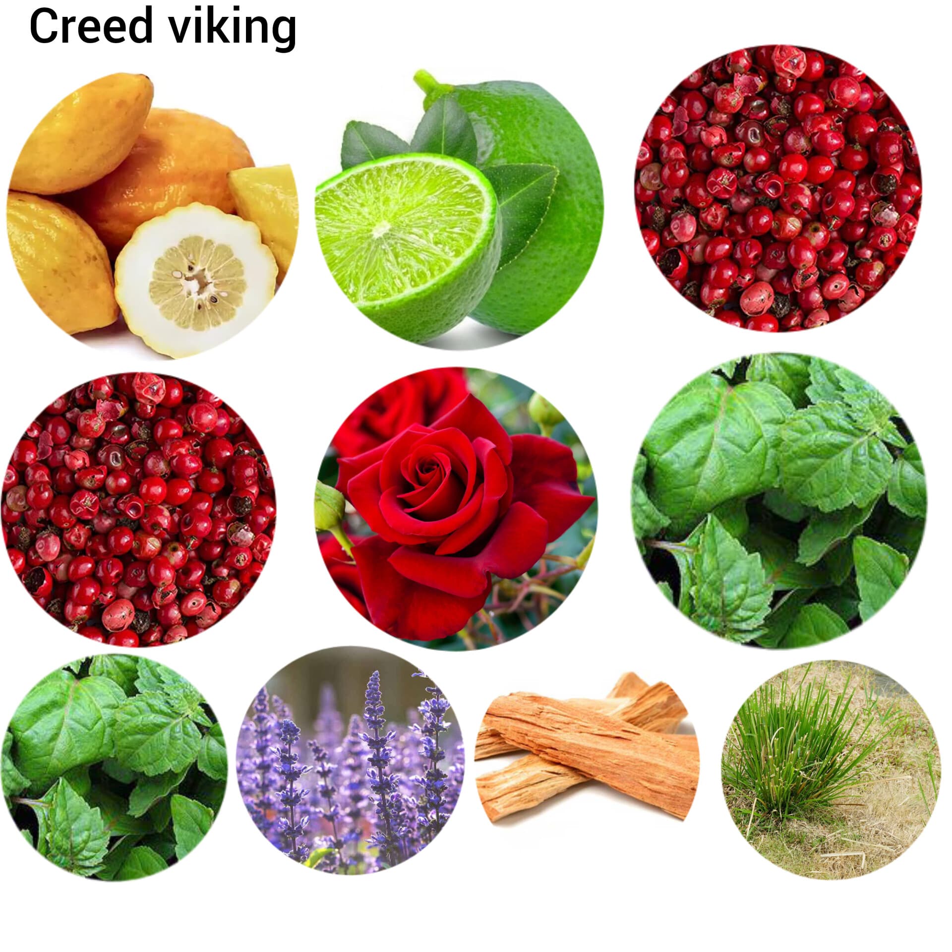 عطر کرید وایکینگ creed viking — تصویر ۶